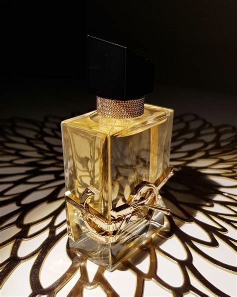 ysl perfume women dossier